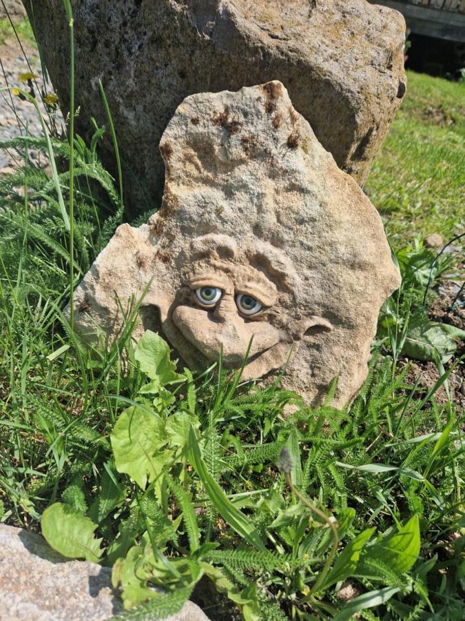 Les Cabanes Feeriques Du Cheix Saint-Diery Kültér fotó